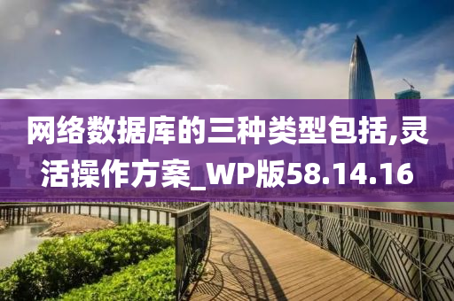 网络数据库的三种类型包括,灵活操作方案_WP版58.14.16