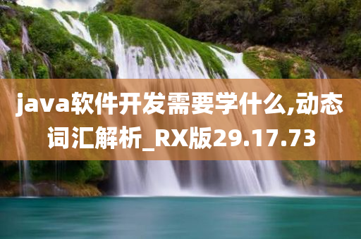 java软件开发需要学什么,动态词汇解析_RX版29.17.73