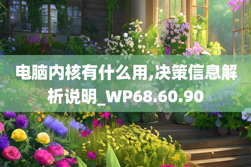 电脑内核有什么用,决策信息解析说明_WP68.60.90