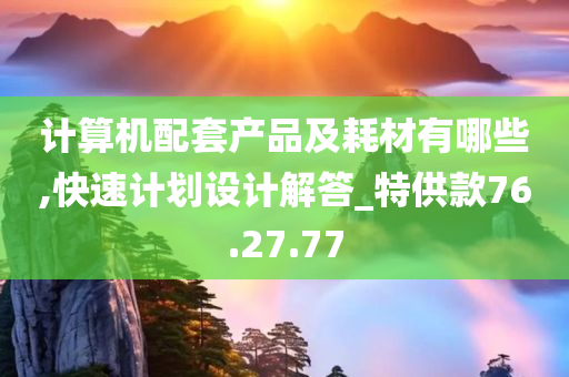 计算机配套产品及耗材有哪些,快速计划设计解答_特供款76.27.77