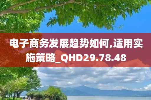 电子商务发展趋势如何,适用实施策略_QHD29.78.48