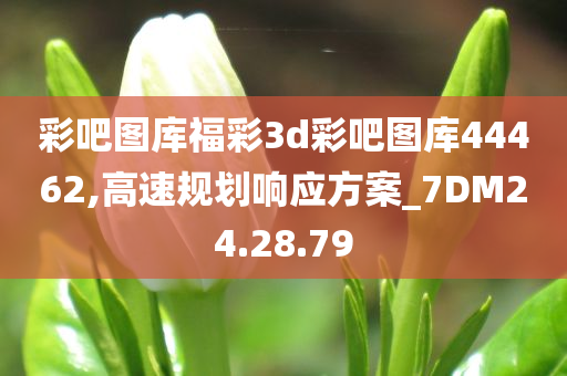 彩吧图库福彩3d彩吧图库44462,高速规划响应方案_7DM24.28.79