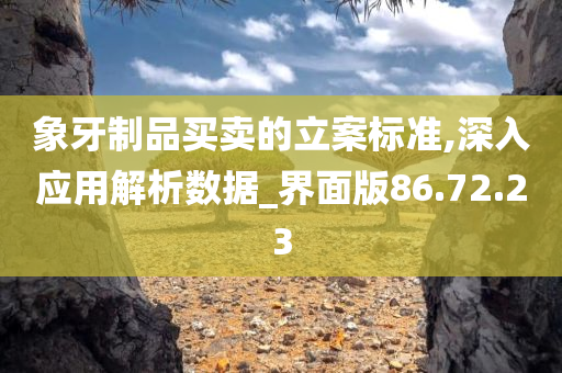 象牙制品买卖的立案标准,深入应用解析数据_界面版86.72.23