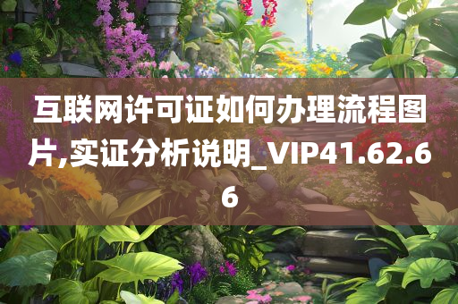 互联网许可证如何办理流程图片,实证分析说明_VIP41.62.66