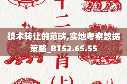 技术转让的范畴,实地考察数据策略_BT52.65.55