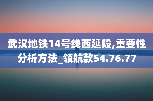 武汉地铁14号线西延段,重要性分析方法_领航款54.76.77