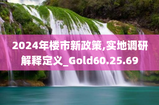 2024年楼市新政策,实地调研解释定义_Gold60.25.69