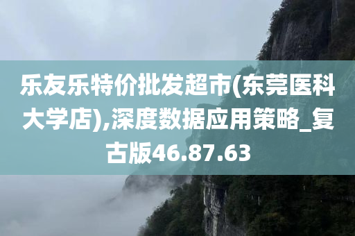 乐友乐特价批发超市(东莞医科大学店),深度数据应用策略_复古版46.87.63