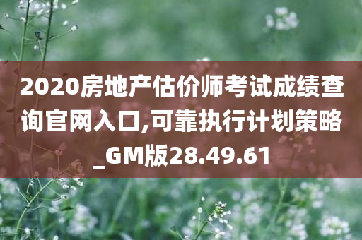 2020房地产估价师考试成绩查询官网入口,可靠执行计划策略_GM版28.49.61