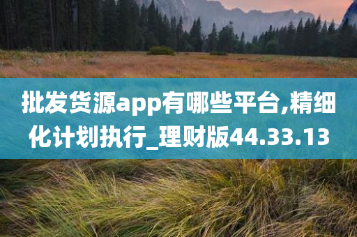 批发货源app有哪些平台,精细化计划执行_理财版44.33.13