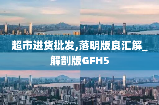 超市进货批发,落明版良汇解_解剖版GFH5