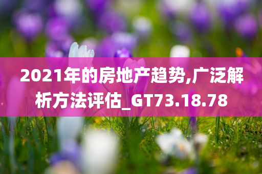 2021年的房地产趋势,广泛解析方法评估_GT73.18.78