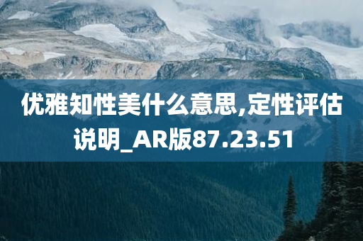 优雅知性美什么意思,定性评估说明_AR版87.23.51