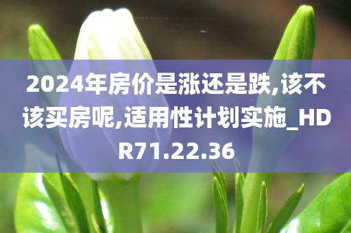 2024年房价是涨还是跌,该不该买房呢,适用性计划实施_HDR71.22.36