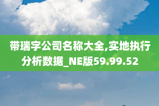 带瑞字公司名称大全,实地执行分析数据_NE版59.99.52