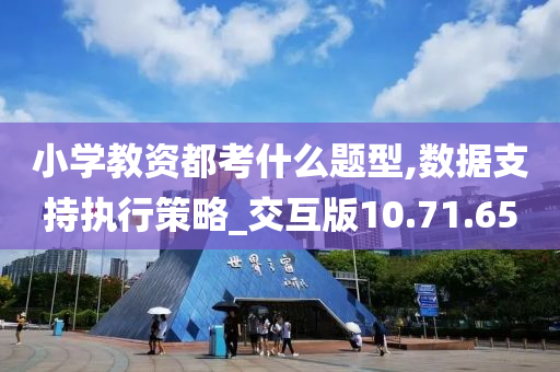 小学教资都考什么题型,数据支持执行策略_交互版10.71.65