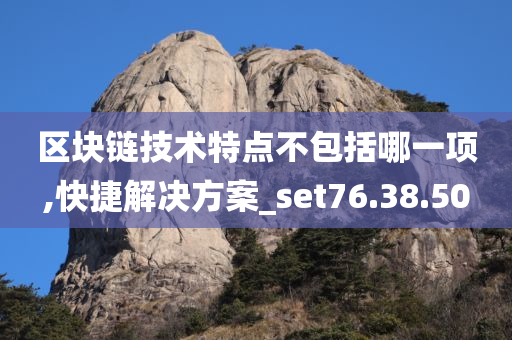 区块链技术特点不包括哪一项,快捷解决方案_set76.38.50